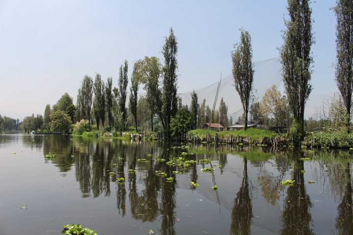 Fotografía de la pregunta 10 del reto del 24 de agosto de 2026