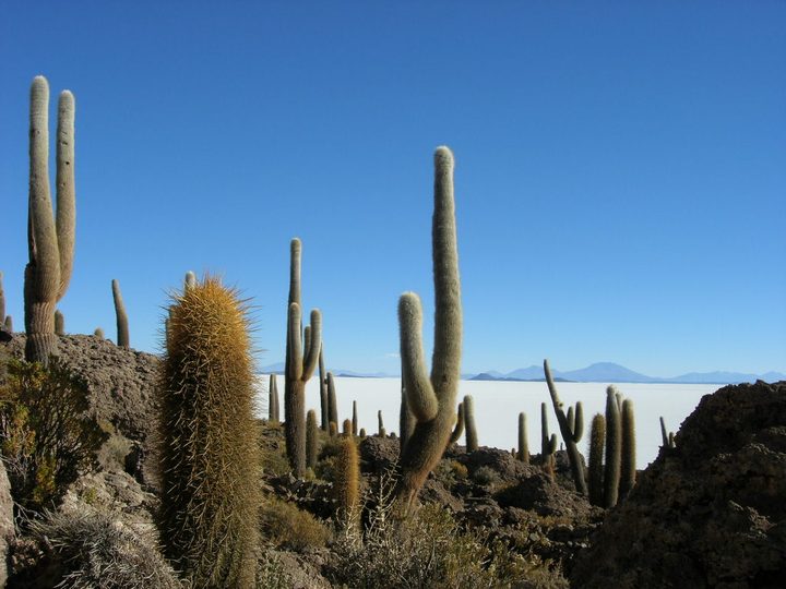 Fotografía de la pregunta 1 del reto del 23 de agosto de 2026