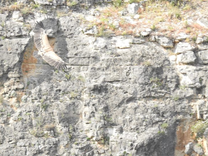 Fotografía de la pregunta 4 del reto del 13 de agosto de 2026