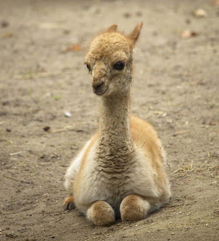 Fotografía de la pregunta 6 del reto del 1 de septiembre de 2026