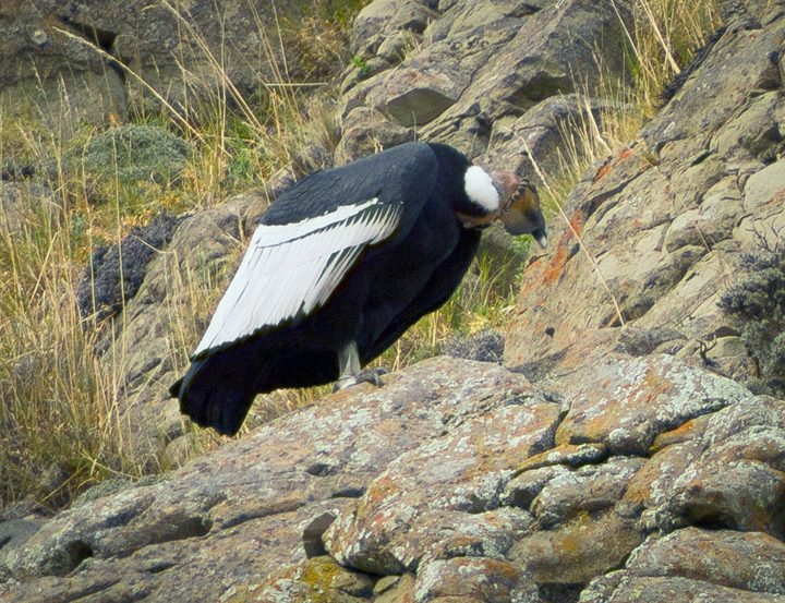 Fotografía de la pregunta 6 del reto del 10 de agosto de 2026