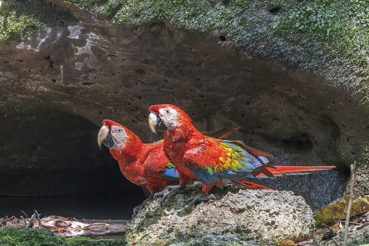 Fotografía de la pregunta 5 del reto del 11 de agosto de 2026