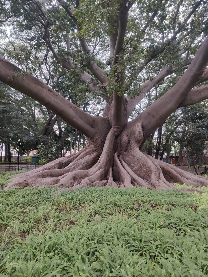 Fotografía de la pregunta 6 del reto del 21 de agosto de 2026