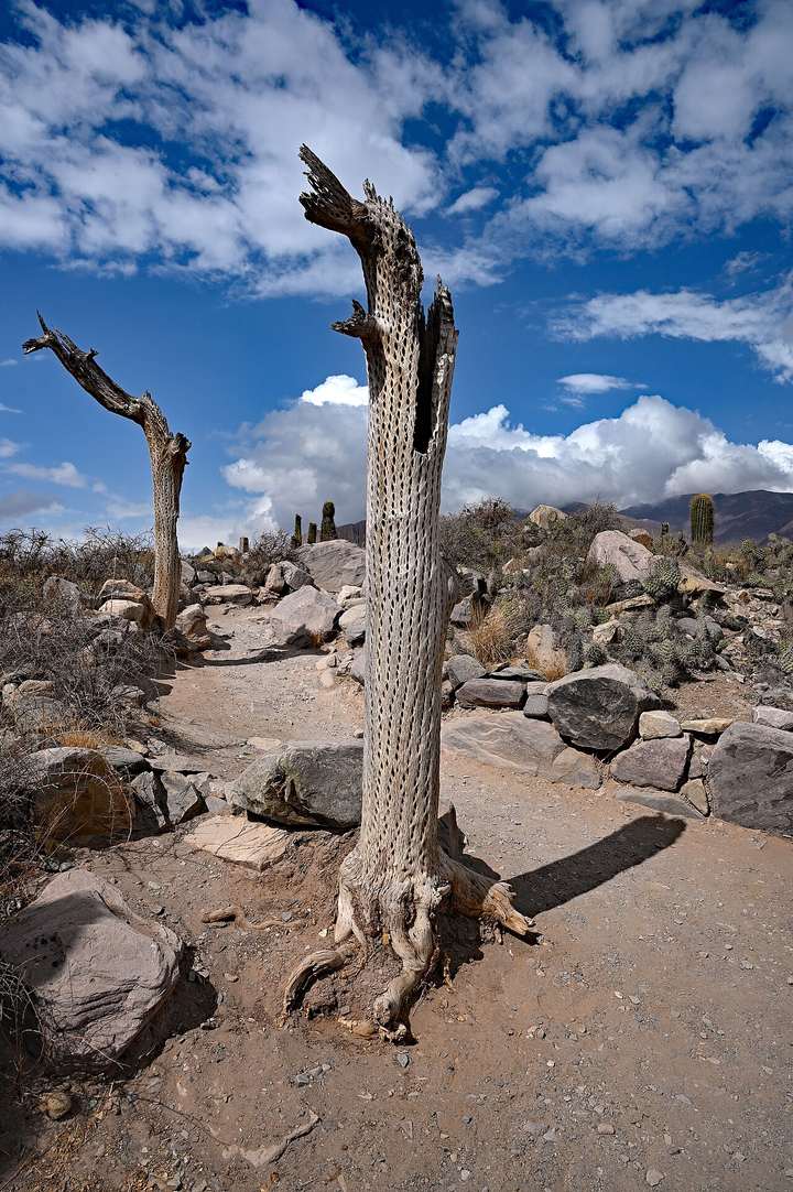 Fotografía de la pregunta 10 del reto del 7 de septiembre de 2026