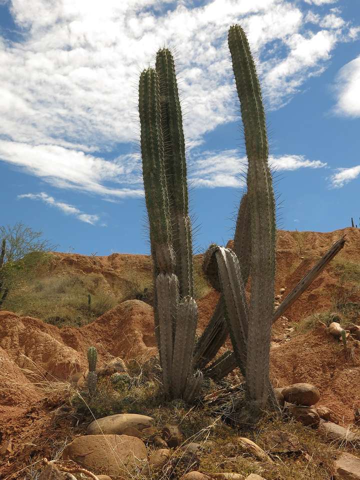 Fotografía de la pregunta 6 del reto del 6 de septiembre de 2026