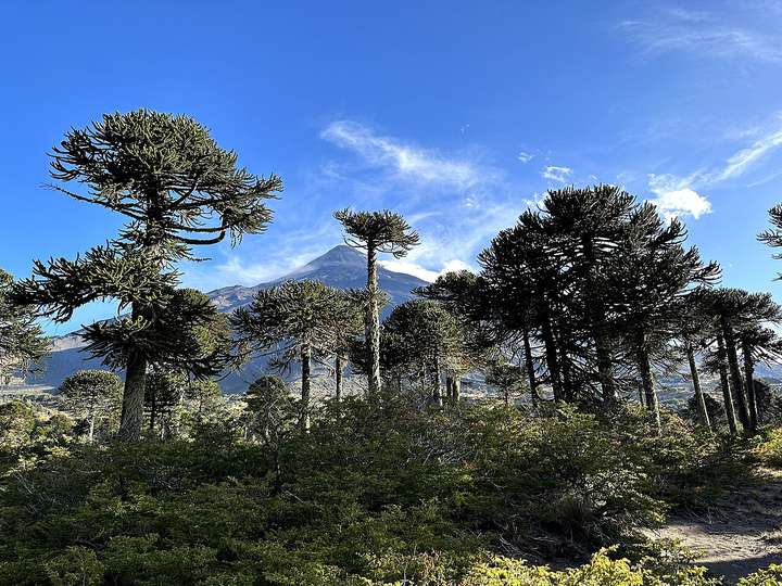 Fotografía de la pregunta 3 del reto del 4 de septiembre de 2026